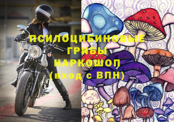 герыч Алзамай